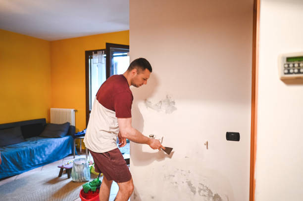 Professional Mold Remediation in Swanton, OH